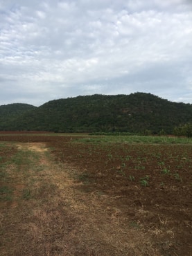 ขายที่ดินสวยราคาถูกที่สุด ห่างจากทุ่งดินดำรีสอร์ท 1.78กม.บรรยากาศดีทิวเขาสวยเหมาะทำการเกษตรอยู่อาศัยอ.อู่ทองจ.สุพรรณบุรี