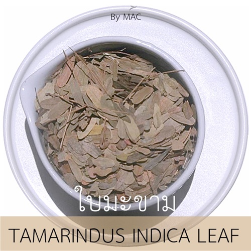 TAMARINDUS INDICA LEAF ใบมะขามแห้ง