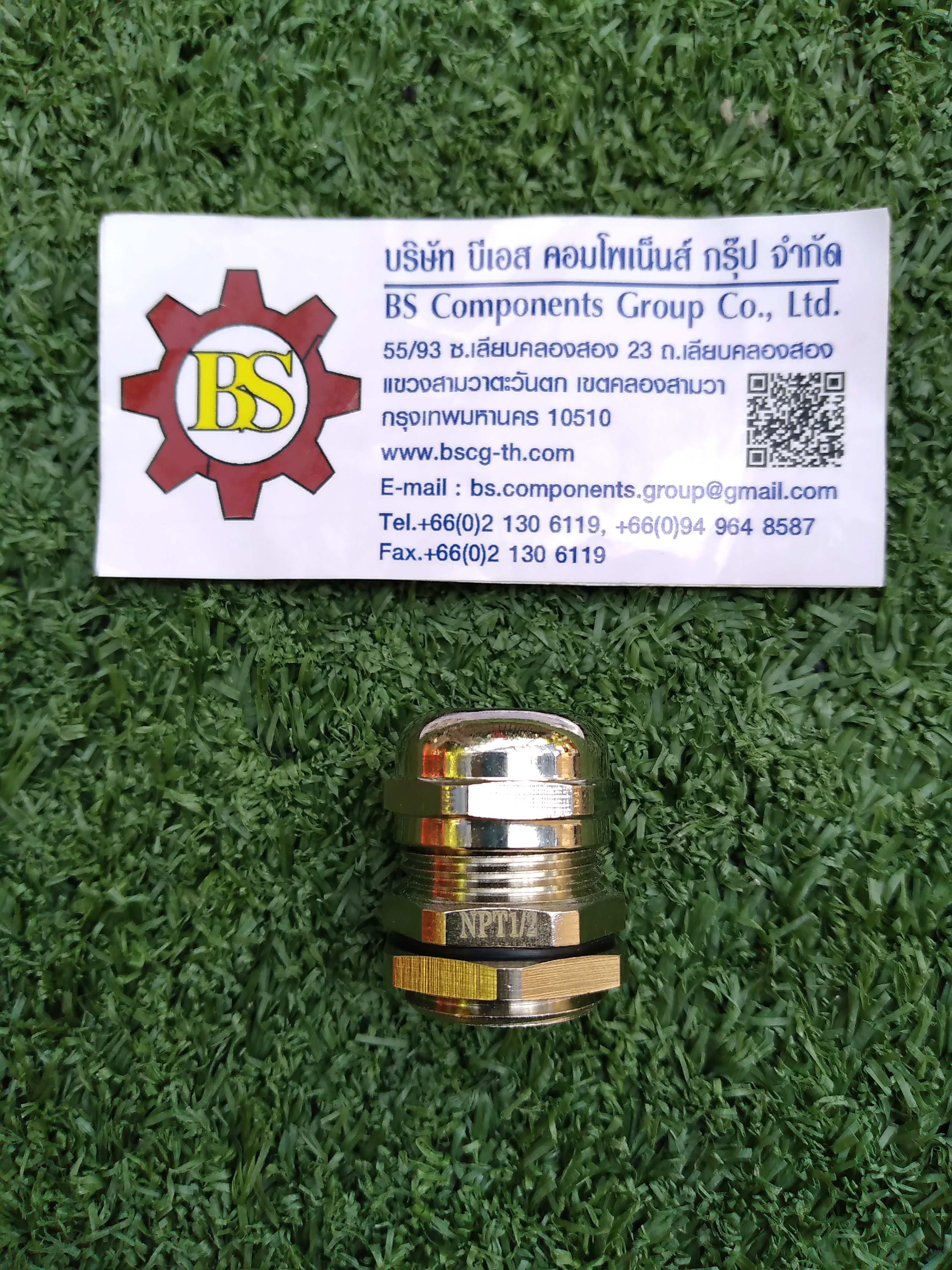 SHINOHAWA : Brass Cable grand ทองเหลือง ชุบนิเกิ้ล NPT 1/2" IP44
