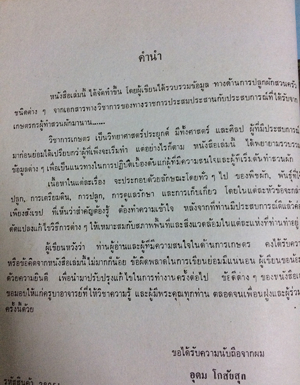 การปลูกผักกินใบ