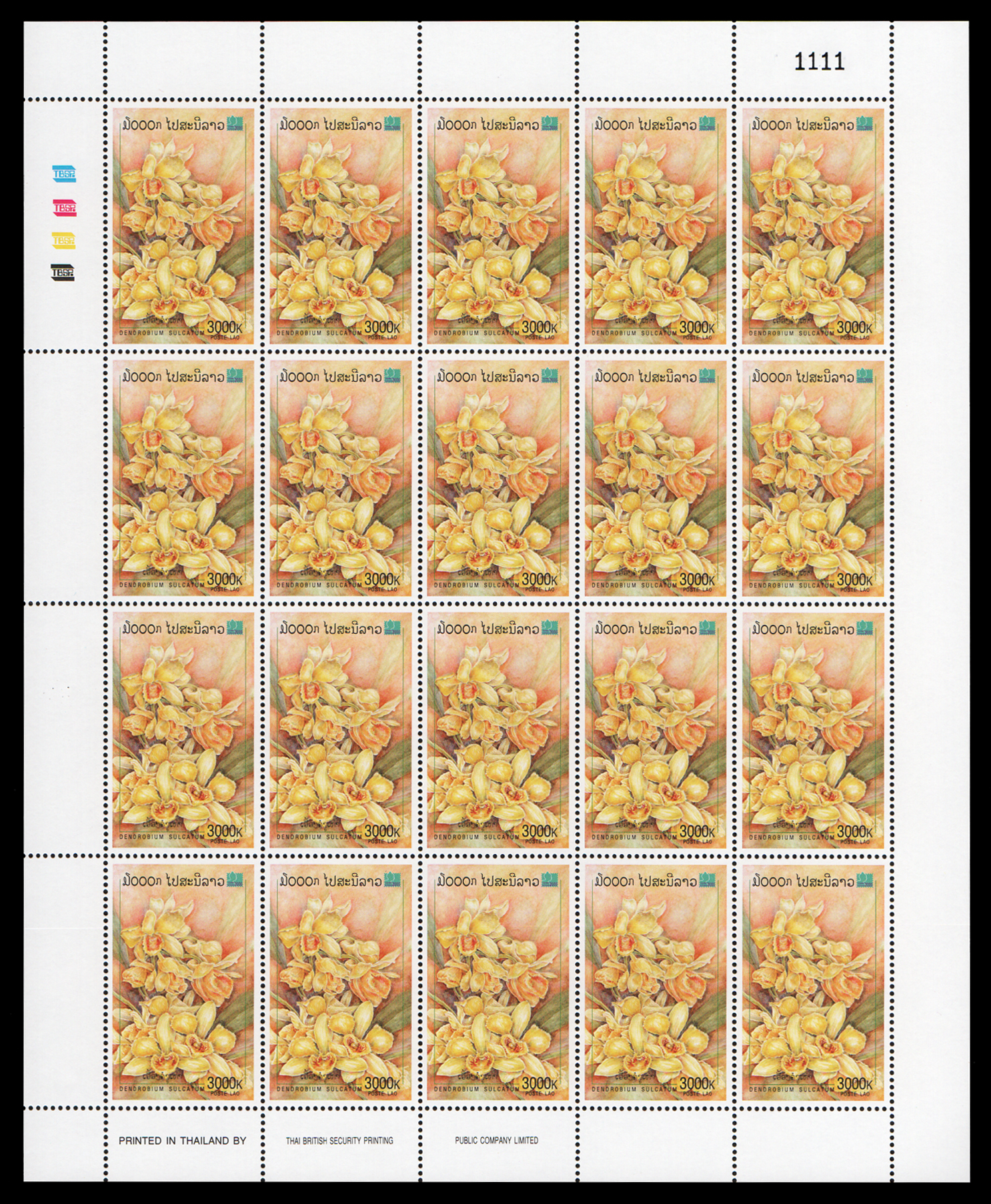 Orchid 2000 (เลข #1111)