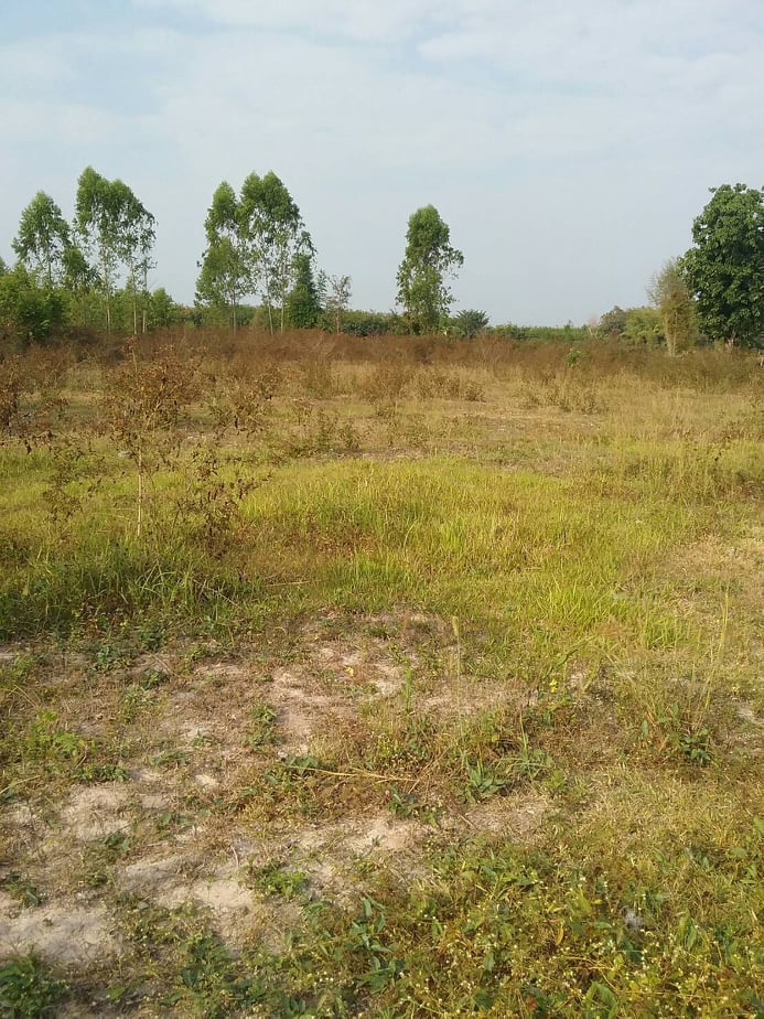 ขายที่ดินสวยราคาถูกที่สุดอ.เกาะคา จ.ลำปางห่างจากปั้มพีทีสาขาเกาะคา 2.94 กม.11 ไร่ 1งาน14ตรว.