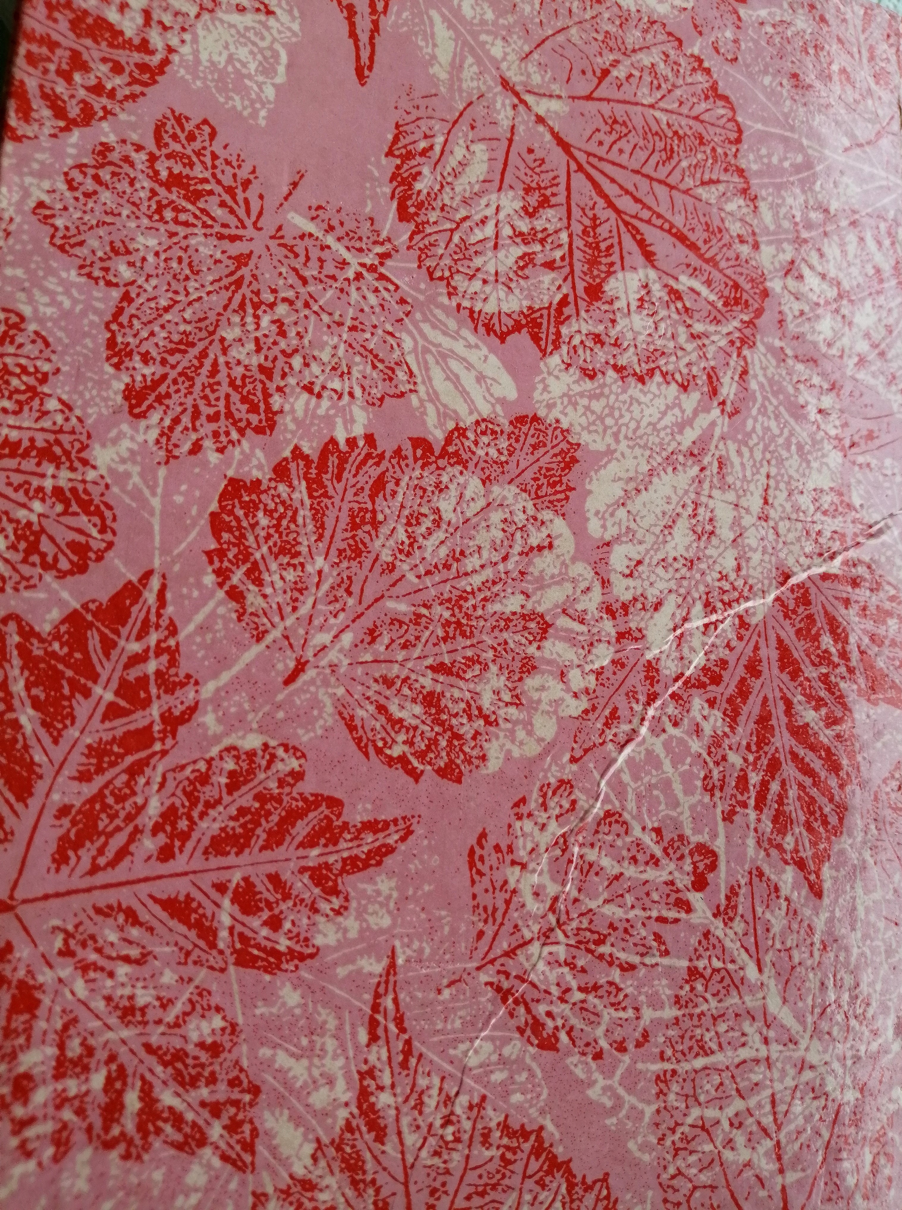 ตุ๊กตาเนรมิต (The Adventure of Pinocchio)