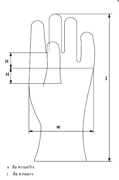 ถุงมือแพทย์ (ยางธรรมชาติ) 5 คู่ ขนาด S