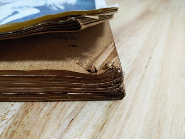 ถึงหญิงใหญ่ (ตำหนิ)