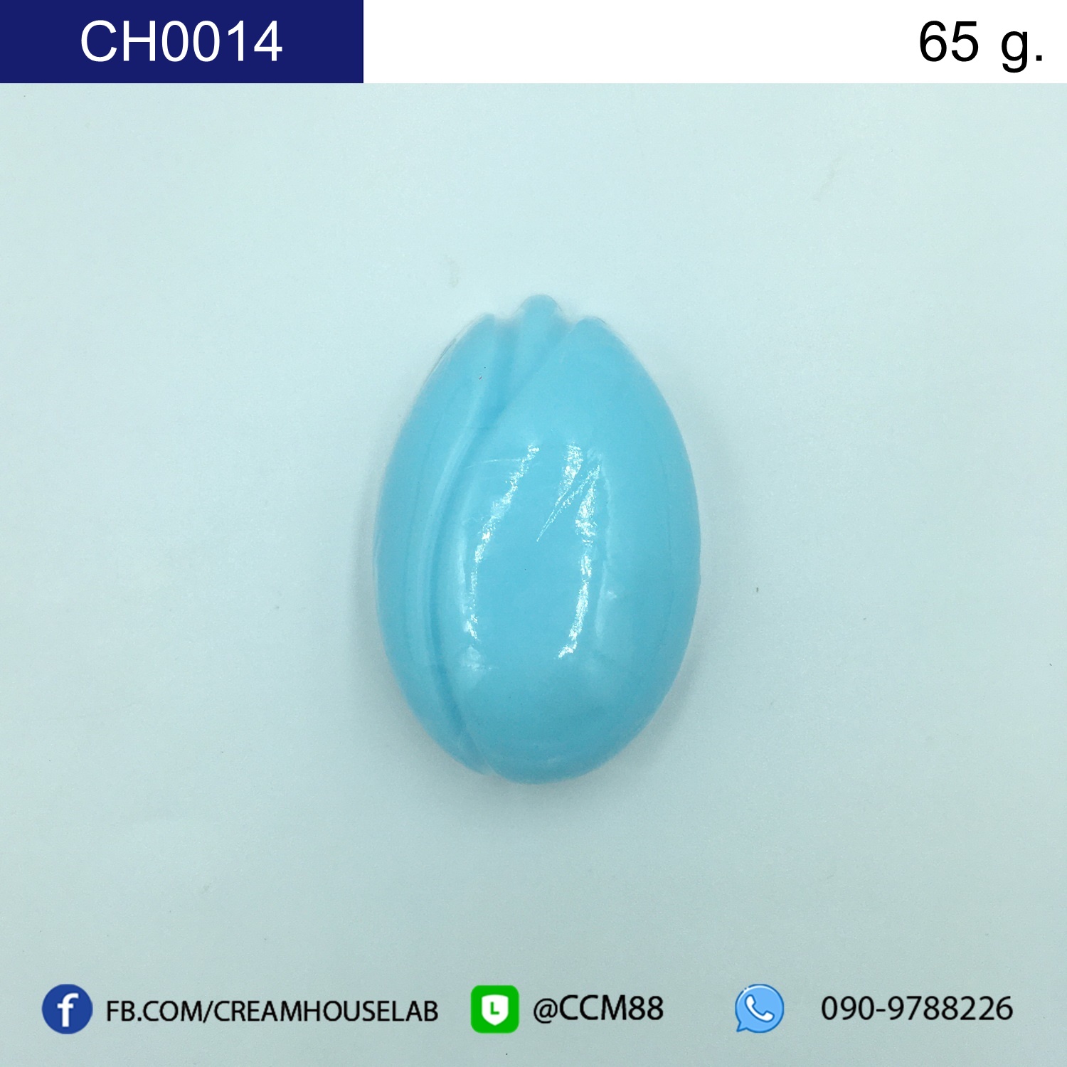 รหัส CH0014