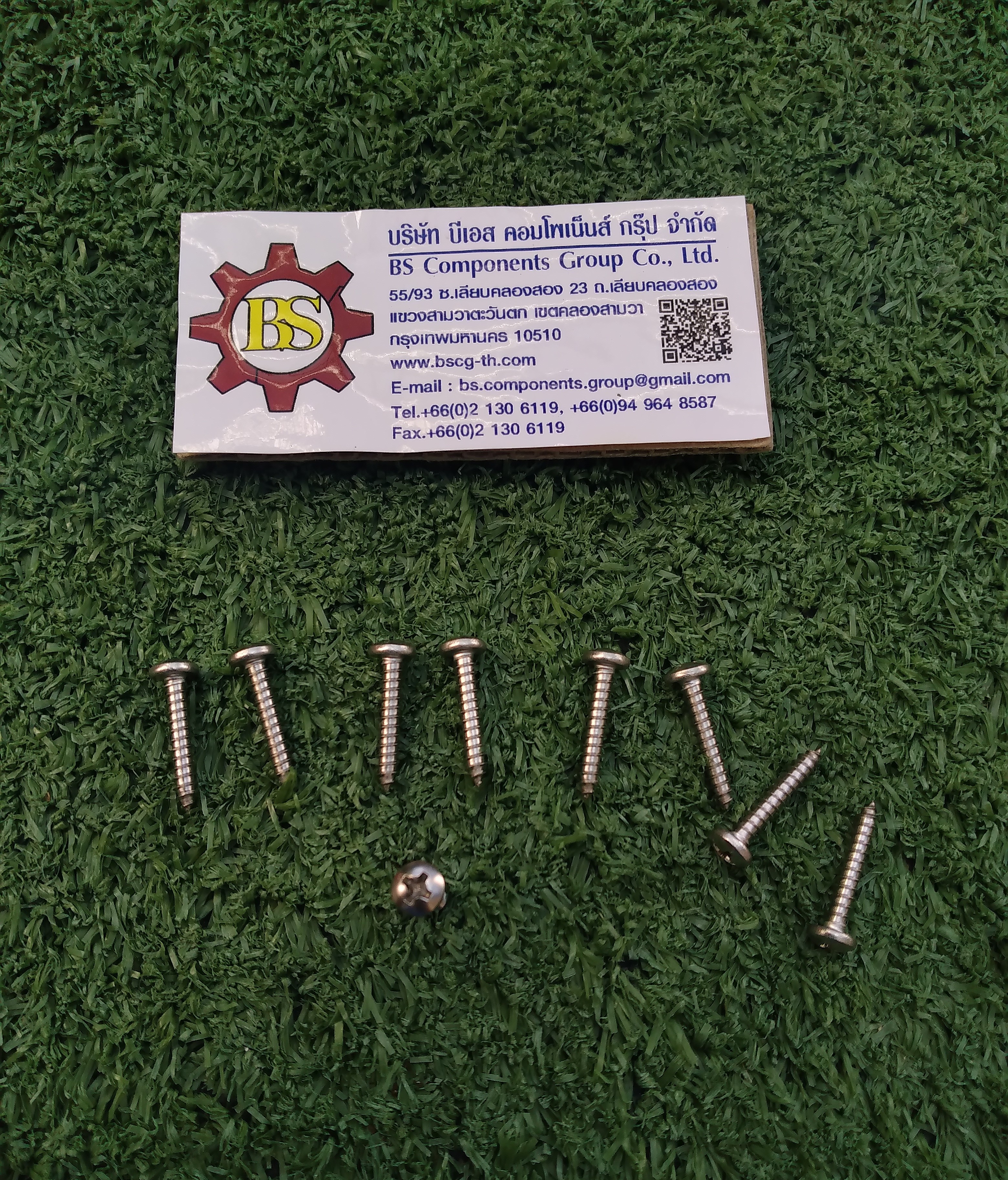 สกรูเกลียวปล่อยหัวแฉก SUS304 JP6x3/4"