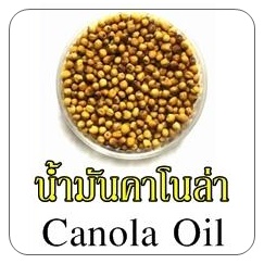 CANOLA OIL น้ำมันคาโนล่า