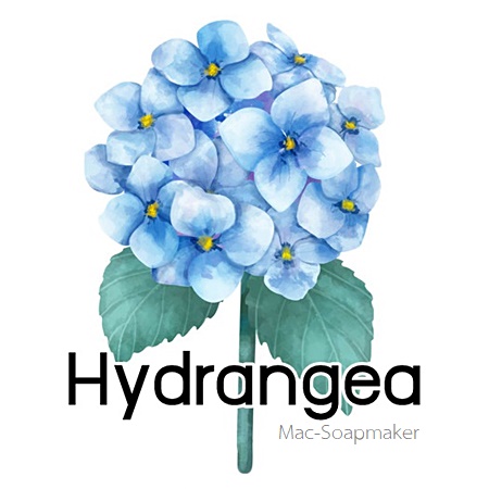 Hydrangea น้ำมันหอม ไฮเดรนเยีย Floral Fresh Earthy กลิ่นหอมของดอกไม้สด ผสานกลิ่นดิน ท่ามกลางสายฝน ละลายในแอกอฮอล์และน้ำมัน