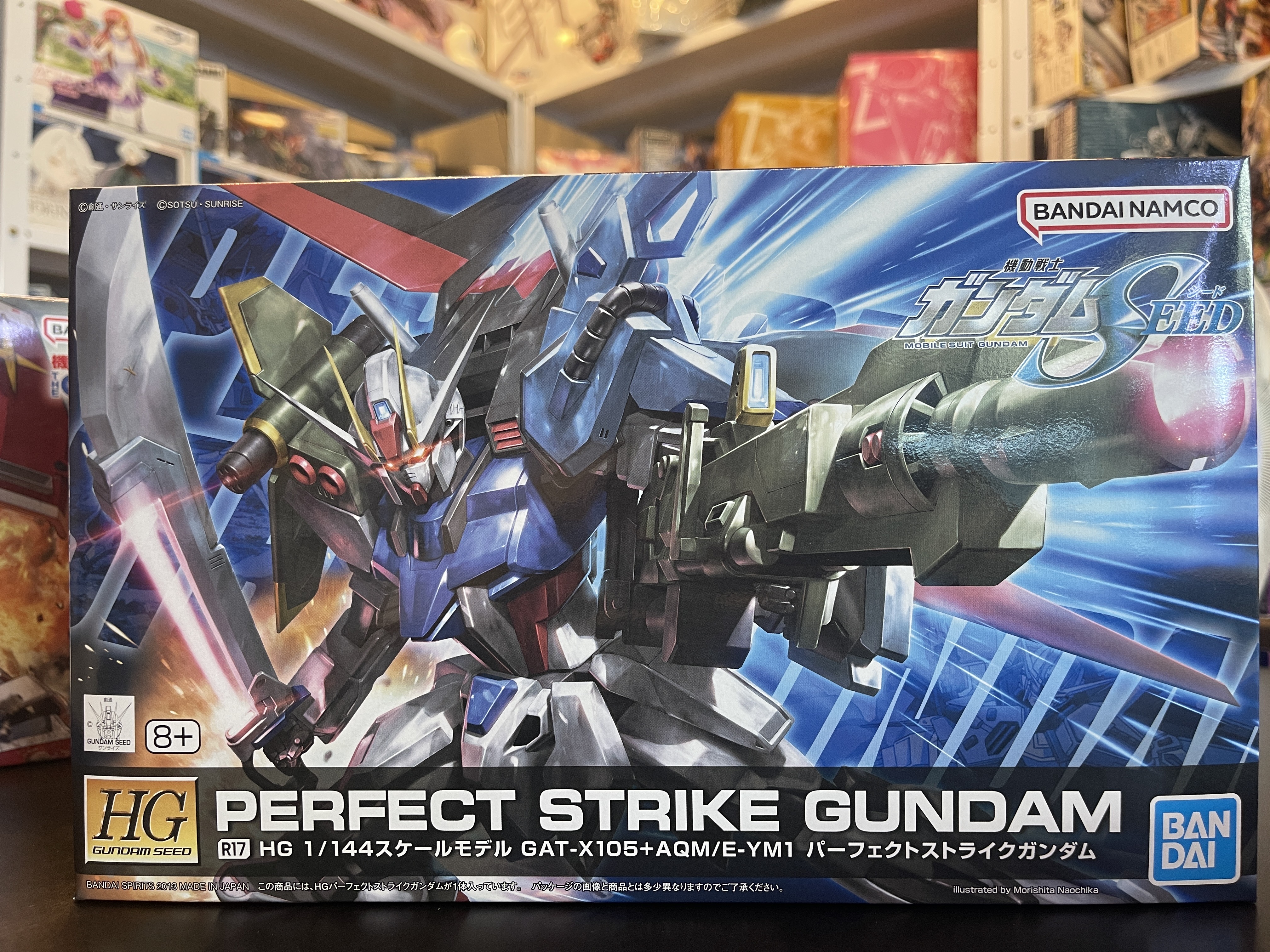HG Seed R17 Perfect Strike Gundam 1/144