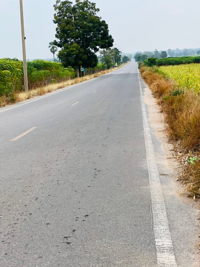 ขายที่ดินราคาถูก1.5แสนบาท/ไร่ อ.พยุหะคีรีจ.นครสวรรค์ใกล้อบต.เขาทองที่ดินสวยเหมาะทำการเกษตรปัจจุบันให้เช่าทำไร่อ้อย(มีผู้เช่า)บรรยากาศดีเดินทางสะดวก