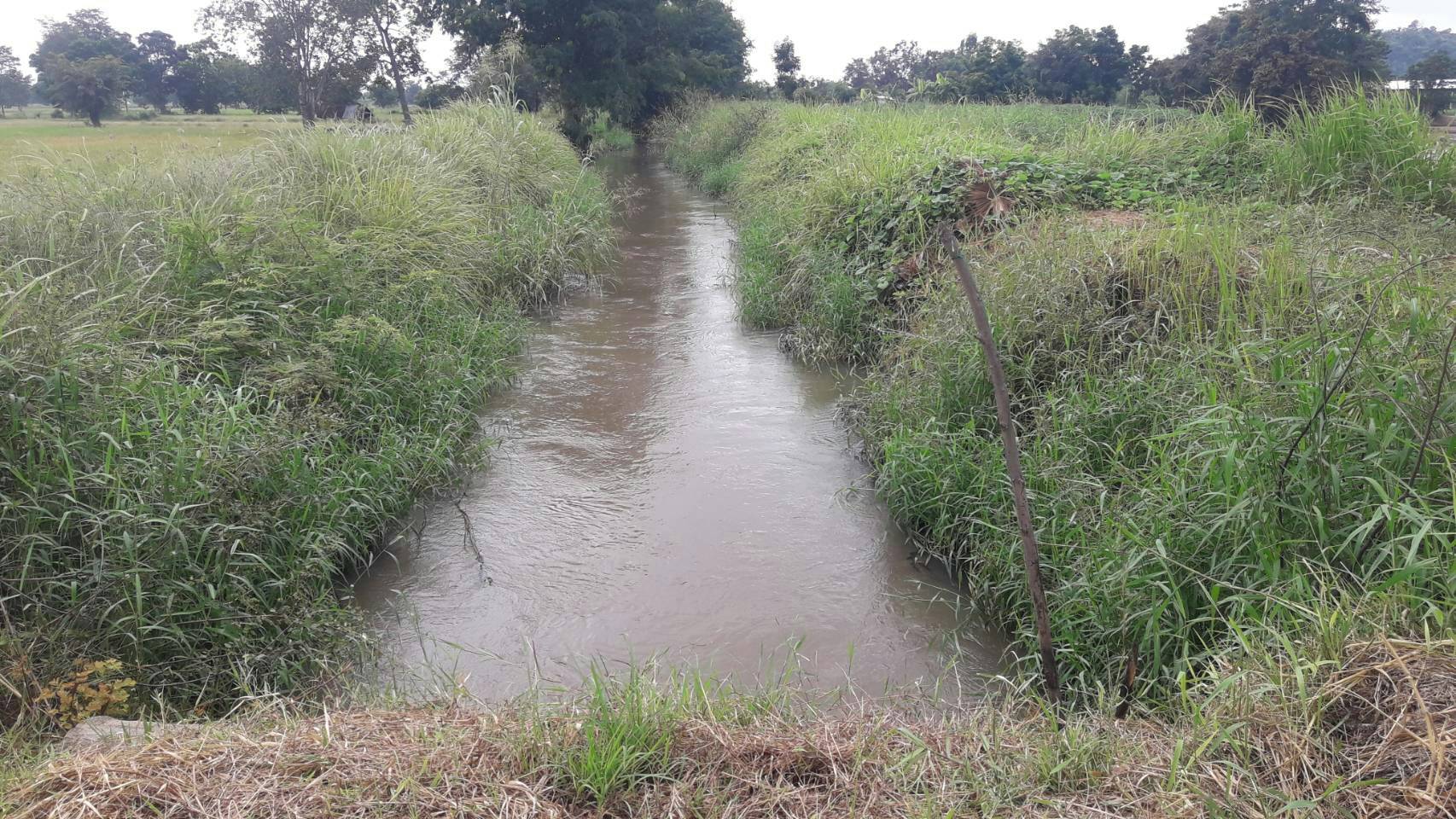 ด่วนขายที่ดินราคาถูกใกล้ถนนใหญ่พหลโยธิน 2.6 กม.ห่างจากปั้มบางจากถนนสายเอเชีย 5 กม.61 ไร่ 2 งาน 82 ตรว.การเดินทางสะดวก อ.เมืองนครสวรรค์