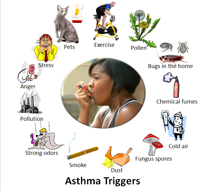 Asthma_triggers
