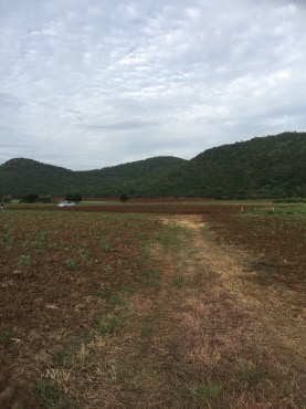 ขายที่ดินสวยราคาถูกที่สุด ห่างจากทุ่งดินดำรีสอร์ท 1.78กม.บรรยากาศดีทิวเขาสวยเหมาะทำการเกษตรอยู่อาศัยอ.อู่ทองจ.สุพรรณบุรี