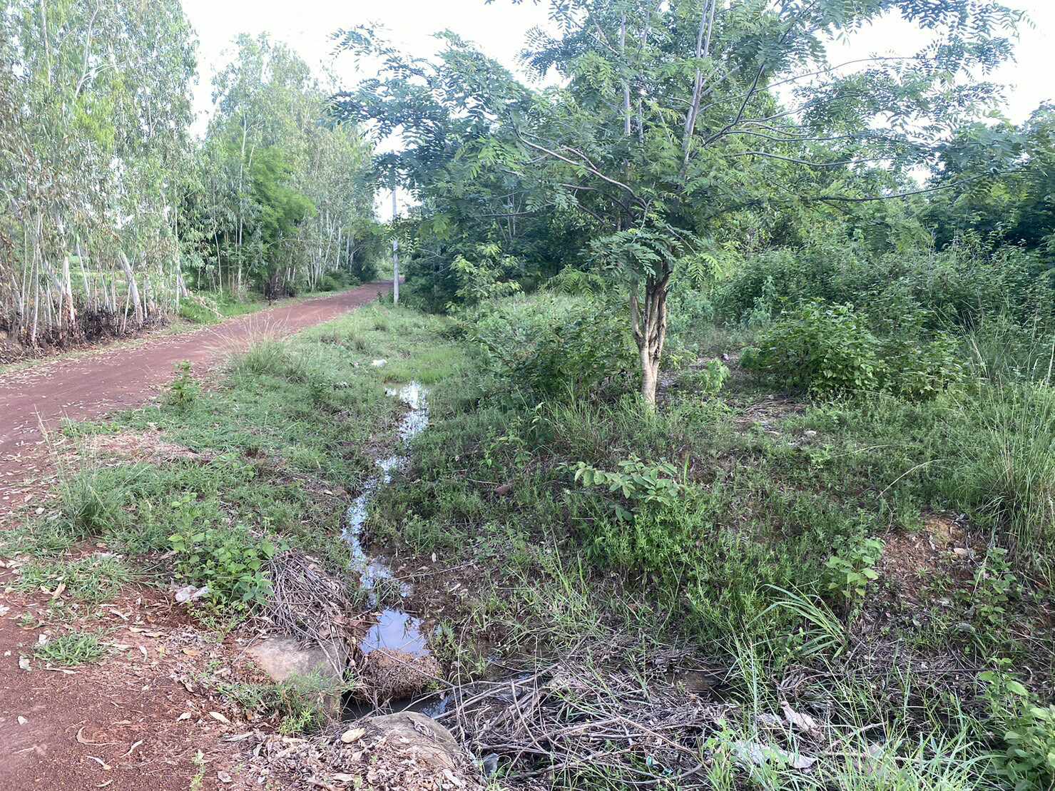 ที่ดินเจ้าของขายเอง อำเภอเมืองสกลนคร ใกล้มหาวิทยาลัยราชภัฏสกลนครเหมาะสร้างบ้าน,รีสอร์ทอพาร์ทเม้นท์บรรยากาศดีการเดินทางสะดวกสบาย