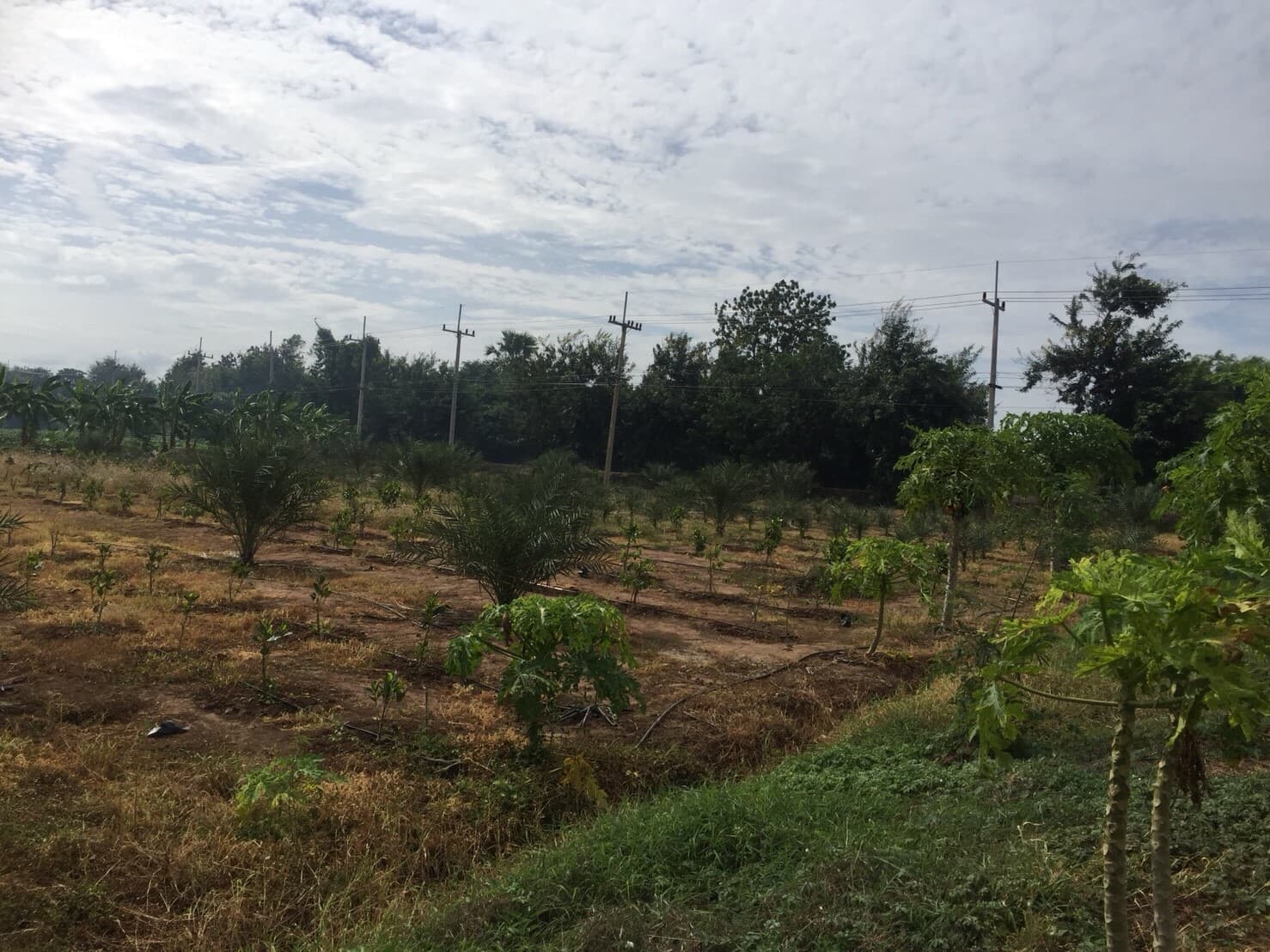 ขายบ้านพร้อมที่ดินราคาถูกติดถนนใหญ่หมายเลข (3468) ห่างจาก อบต.บ้านโข้ง 876 เมตร