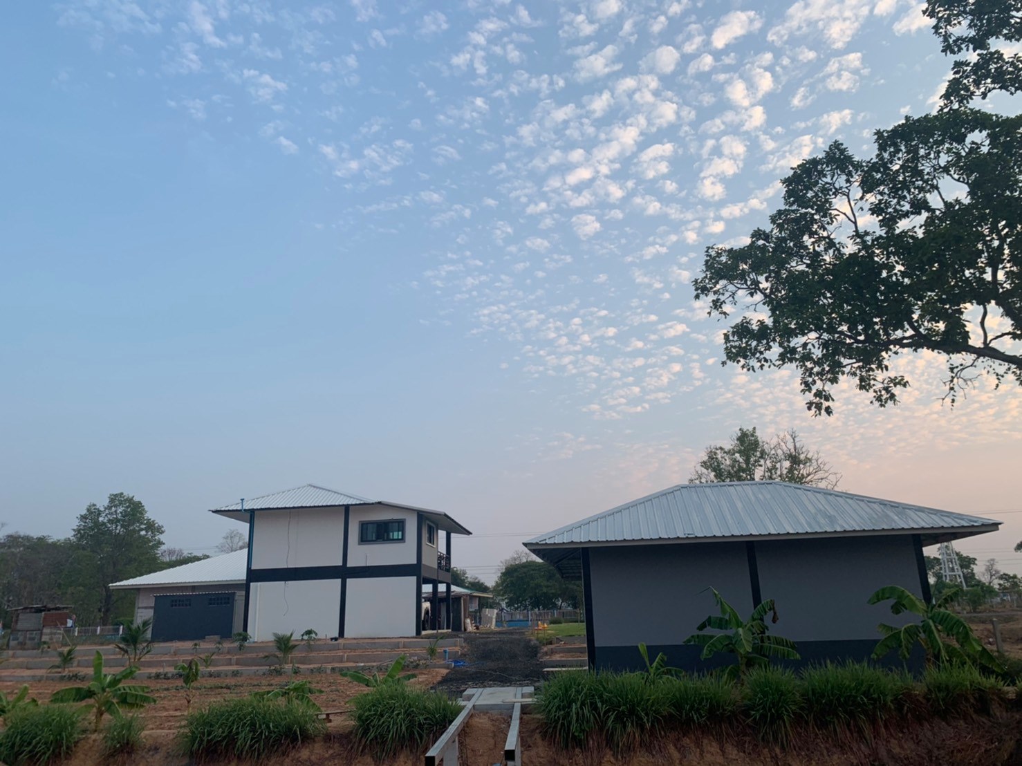 ขายบ้านพร้อมที่ดินมีพื้นที่สวนกว้างขวางพร้อมสำหรับทุกคนในครอบครัว2ไร่13ตรว.ติดถนนใหญ่ใกล้อบต.ป่าชัน 340 เมตร จ.บุรีรัมย์