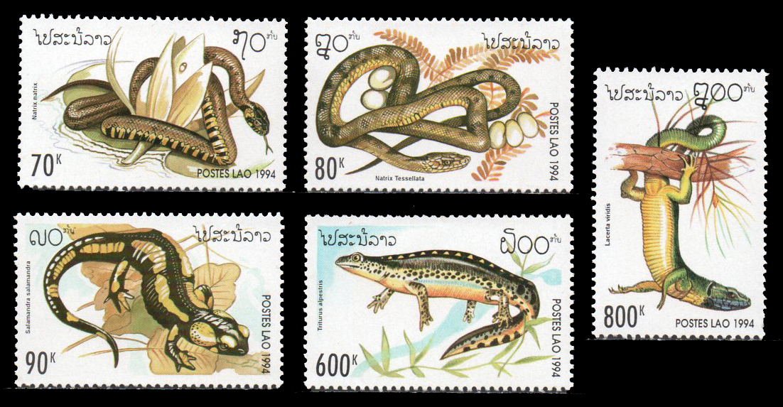 Reptiles 1994