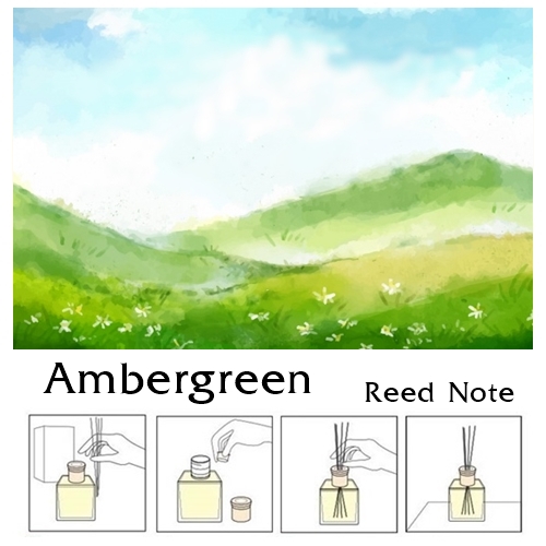 Reed Note : Ambergreen น้ำมันหอมปรับอากาศ แอมเบอร์กรีน :กลิ่นแสงแดด อากาศบริสุทธิ์ ผลไม้สีเขียว ดอกไม้ขาว ทุ่งหญ้า ใบไม้ สังเคราะห์พิเศษ สำหรับใช้กับก้านไม้หวาย