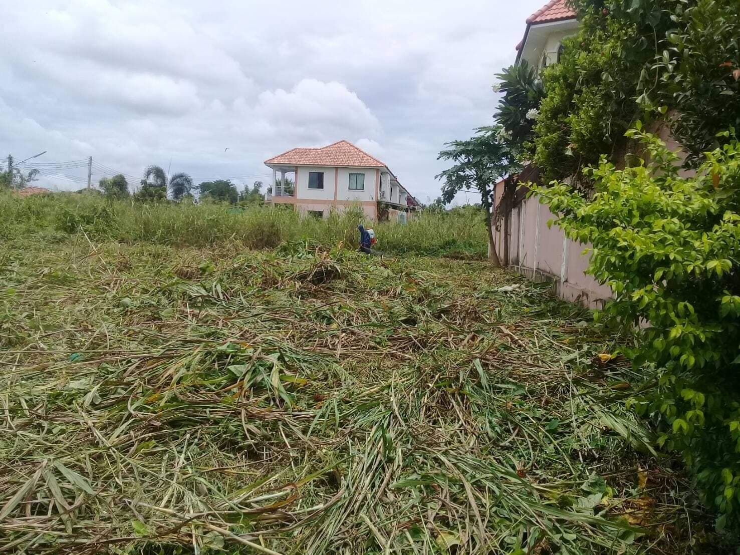 ขายที่ดินสวยราคาถูกที่สุดเมืองนครสวรรค์ติดหมู่บ้านจัดสรรค์ปาริชาตแลนด์