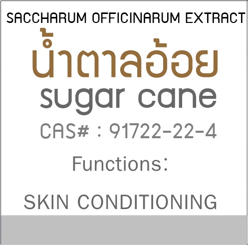 BROWN SUGAR น้ำตาลอ้อย