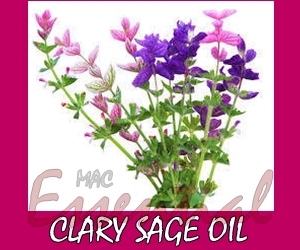 CLARY SAGE OIL น้ำมันหอมระเหย