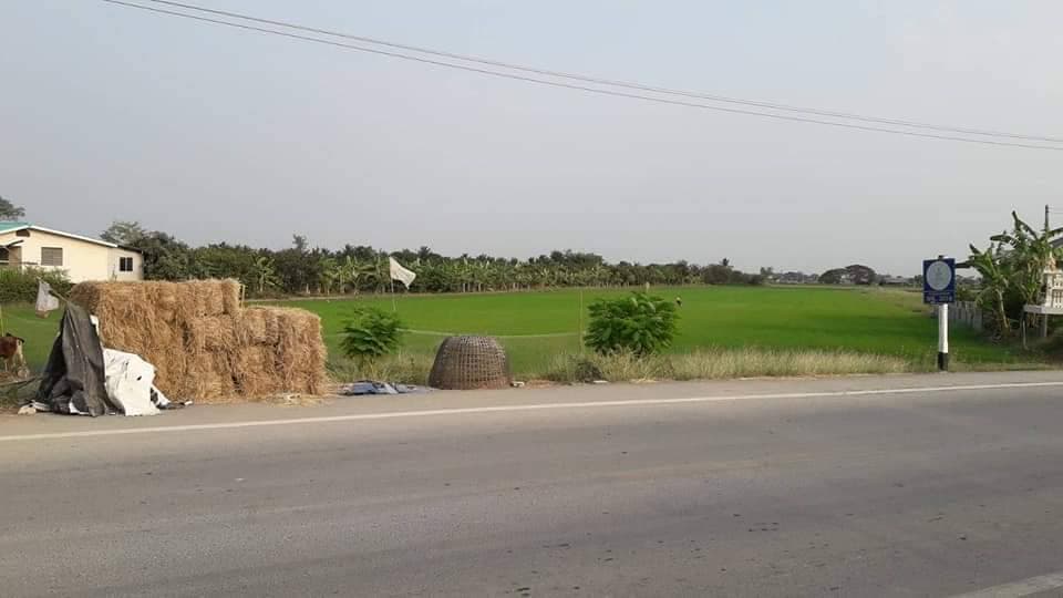 ขายที่ดินติดถนนใหญ่ราคาถูก เหมาะทำธุรกิจการเดินทางสะดวกพื้นที่สวยใกล้ รร.บ้านหนองหัวช้าง 1.2 กม.โลตัสกำแพงแสน 4.7 กม.จ.นครปฐม