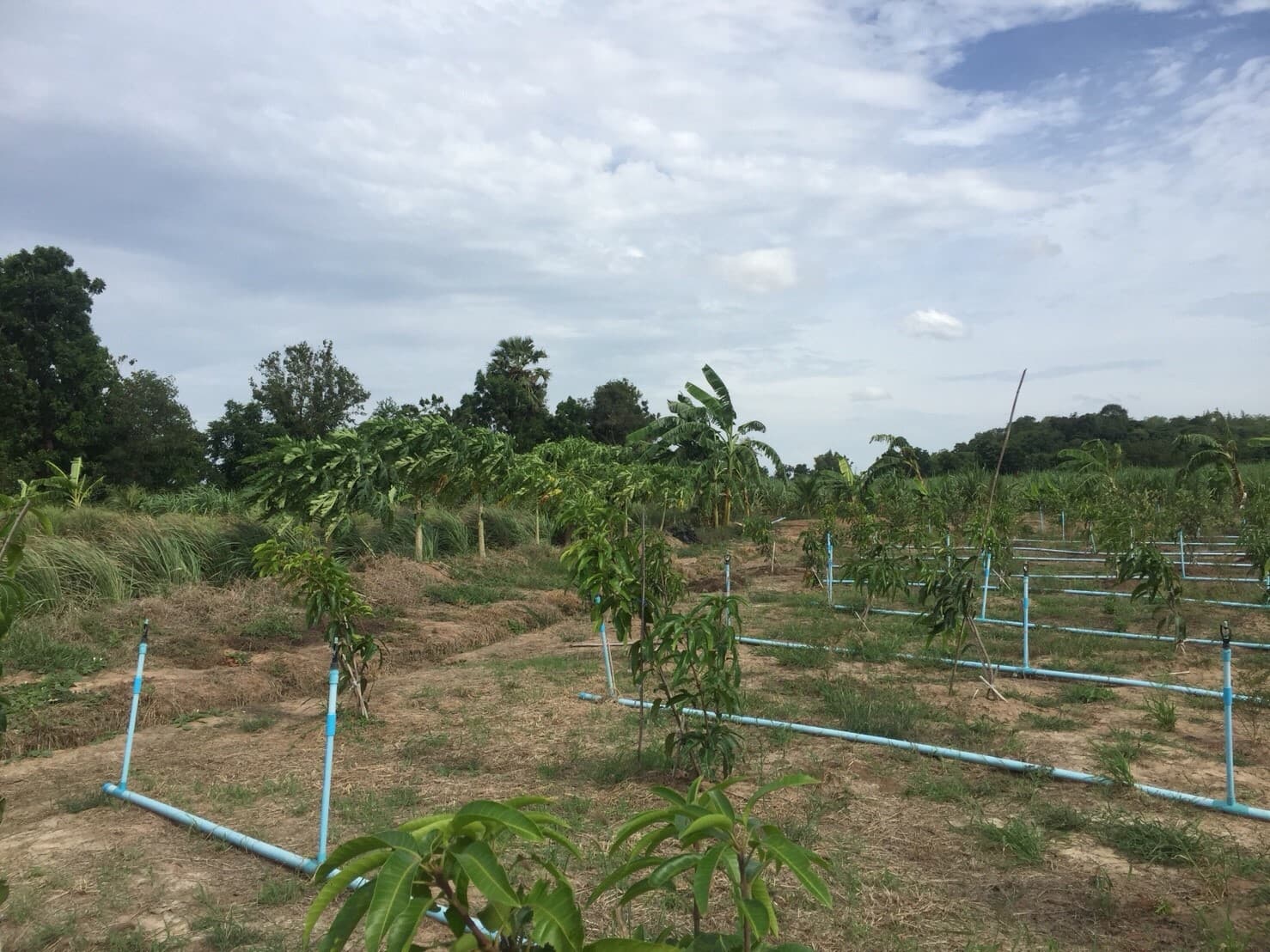 ขายบ้านพร้อมที่ดินราคาถูกติดถนนใหญ่หมายเลข (3468) ห่างจาก อบต.บ้านโข้ง 876 เมตร