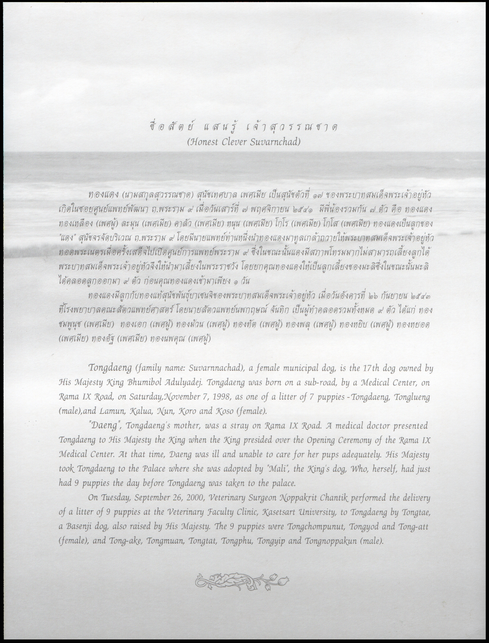 อัลบั้มชีทคุณทองแดง 2549 (บรรจุพร้อมแสตมป์)