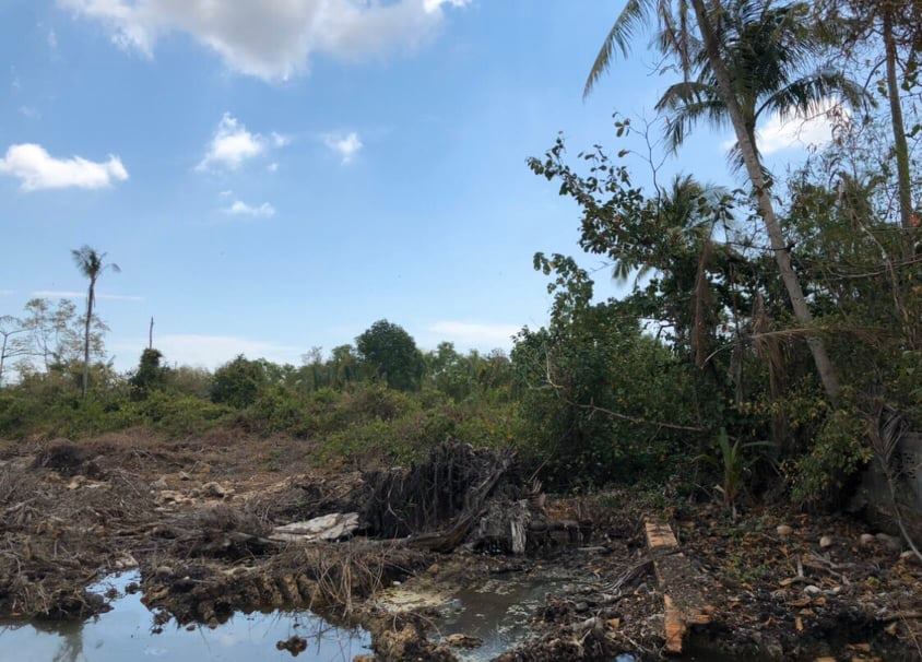 ขายที่ดินเปล่าราคาถูกใจกลางเมืองปากพนังฝั่งตะวันออก ใกล้โรงเรียน ใกล้ธนาคาร ใกล้ตลาดเช้า