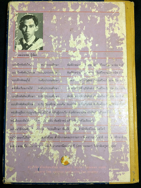 งานพลาสติค(Plastic Crafts)