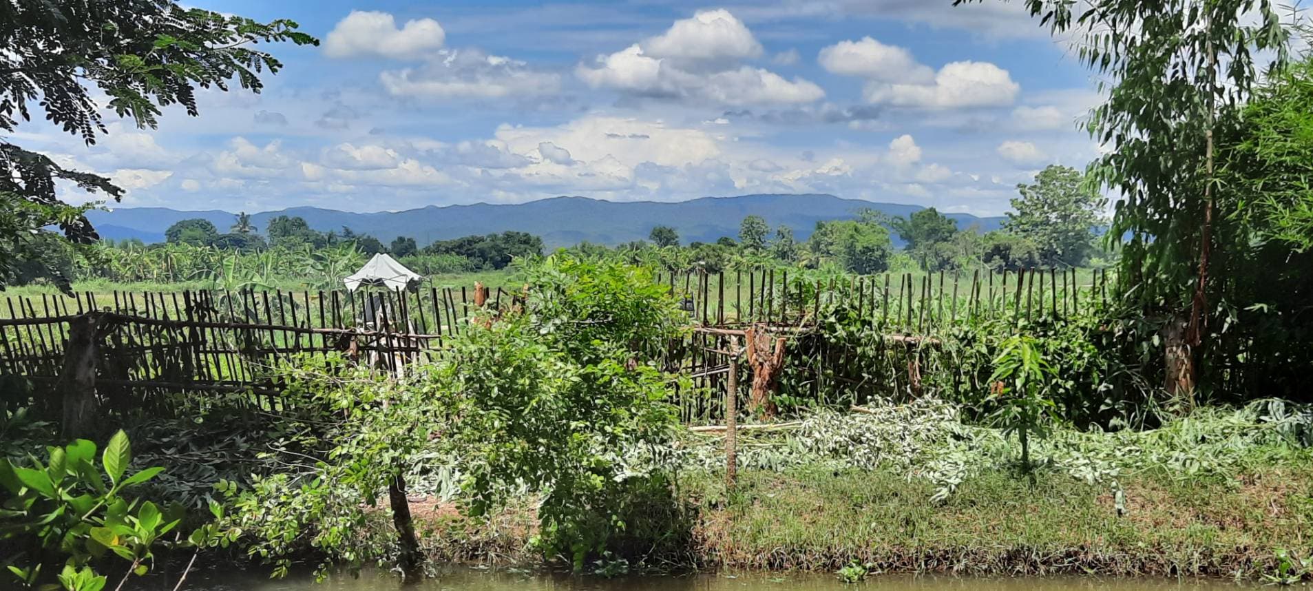ขายที่ดินพร้อมสิ่งปลูกสร้างร้านอาหาร 1ไร่ 2 งาน85 ตรว. ตำบลสันโป่ง อำเภอแม่ริม จังหวัดเชียงใหม่ เหมาะสำหรับคนที่รักธรรมชาติ