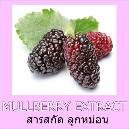 MULLBERRY EXTRACTสารสกัดลูกหม่อน