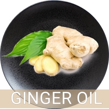 GINGER OIL น้ำมันขิงสกัด