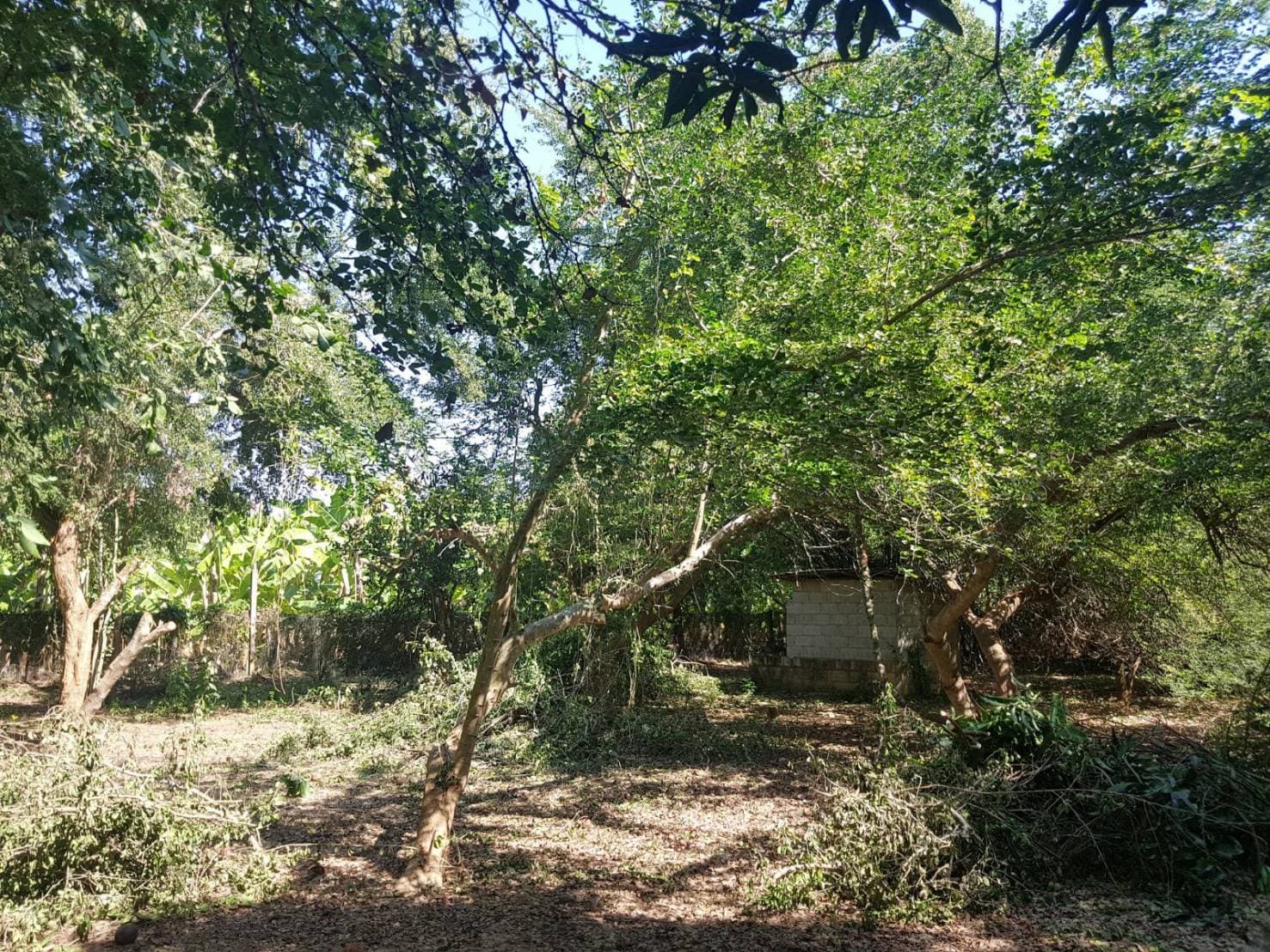 ขายที่ดินสวยพร้อมบ้านร้านขายของติดถนนหลวงด้านหลังเป็นสวนผลไม้พื้นที่กว้างขวางพร้อมสำหรับทุกคนในครอบครัวใกล้รร.บ้านเกาะสำโรง 800 เมตร อ.เมืองกาญจนบุรี