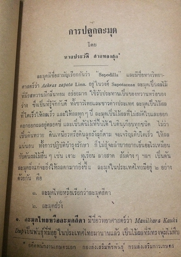 การปลูกละมุด