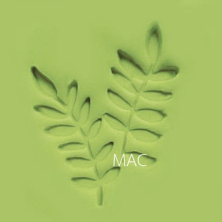 FERN SOAP STAMP 3 X 3.6 CM.