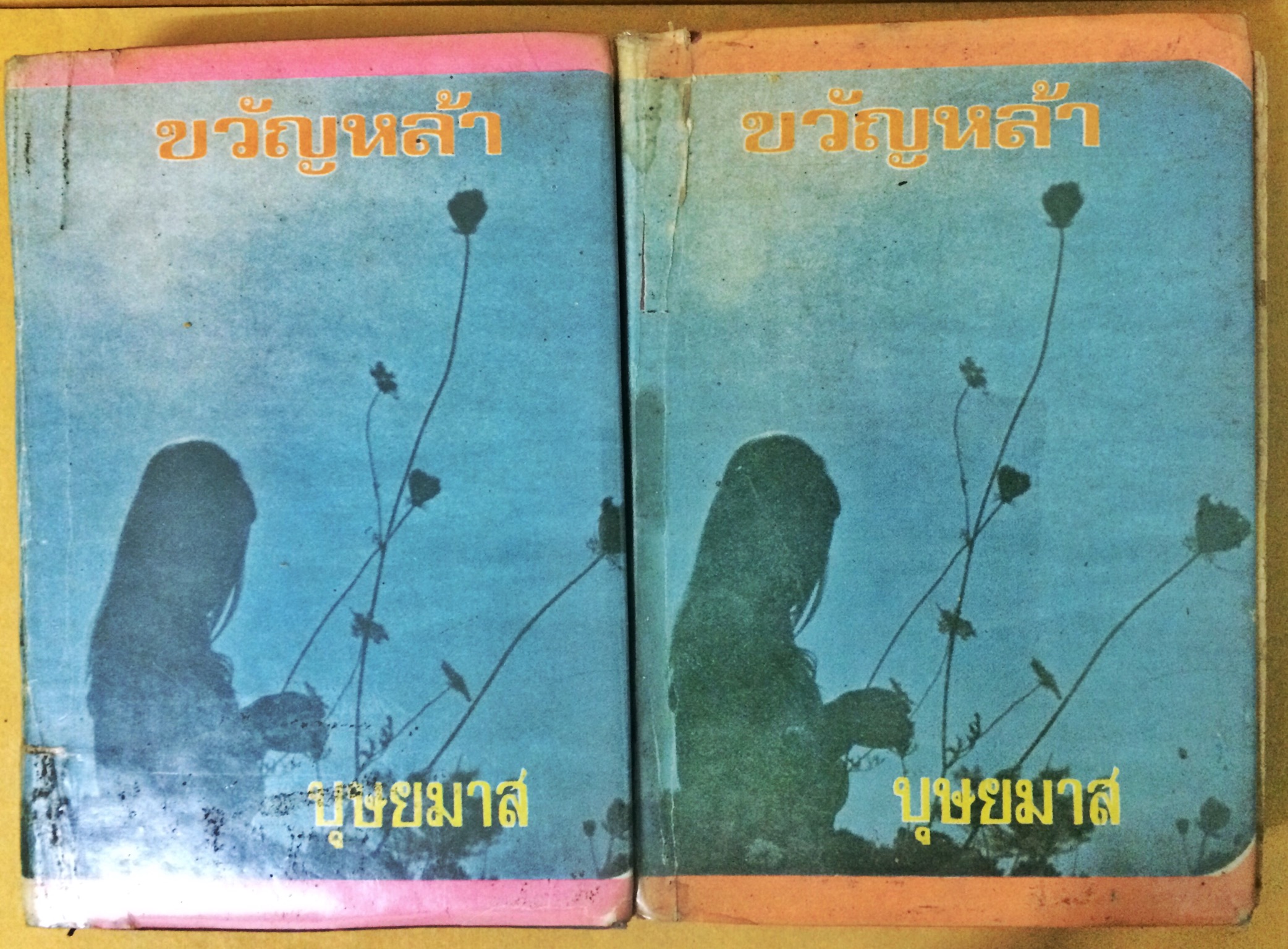 ขวัญหล้า (1-2เล่มจบ)
