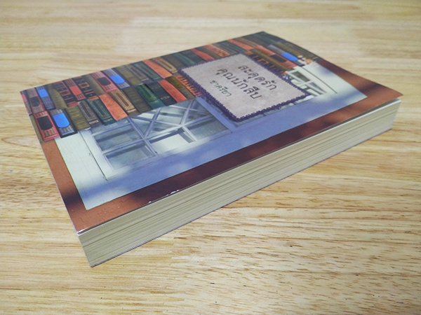 สะดุดรักคุณนักสืบ