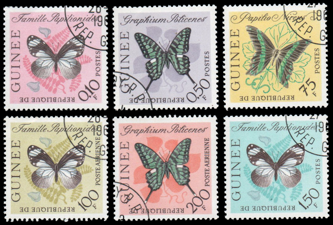 Butterflies