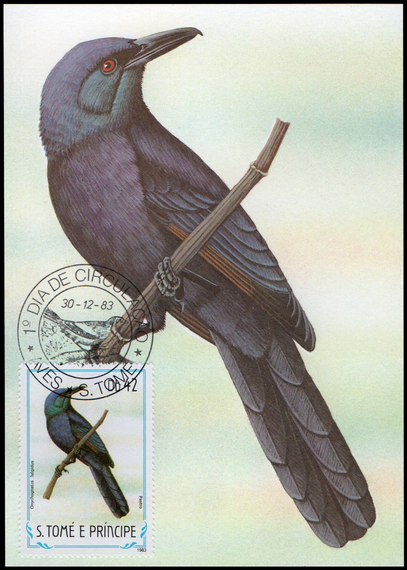 Post Cards S.Tome E Principe Bird 1983