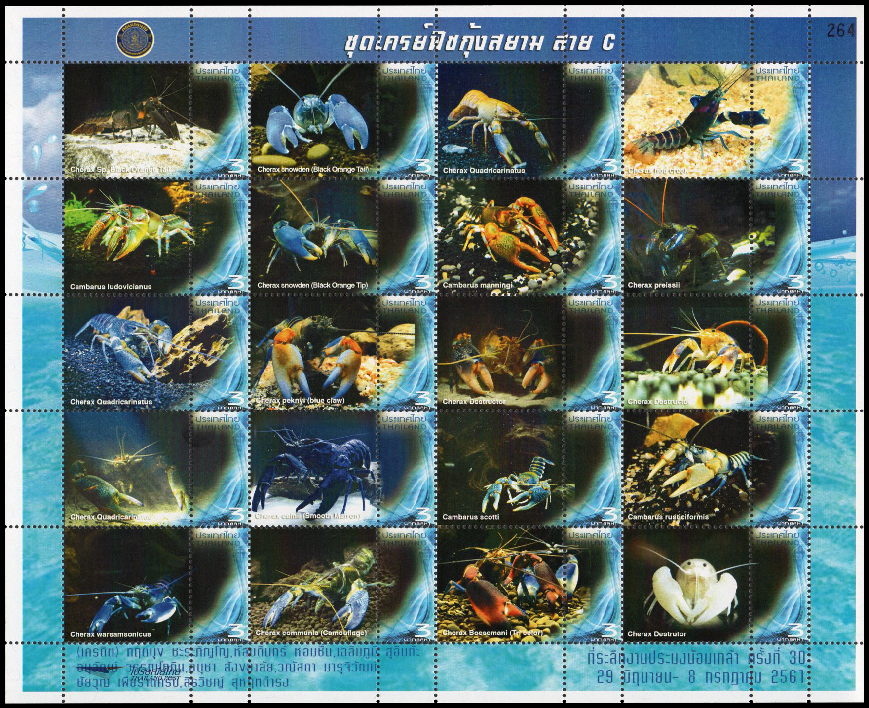 แสตมป์ชุดเครย์ฟิชกุ้งสยาม สาย C