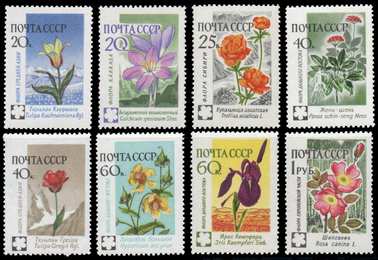 1960 Flowers