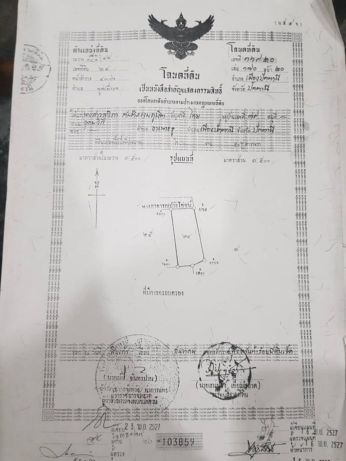 ขายบ้านรังนก พร้อมที่ดิน มีบ้านสำหรับพักได้ด้านล่าง มีนกแล้วประมาณ 350-400 ตัว