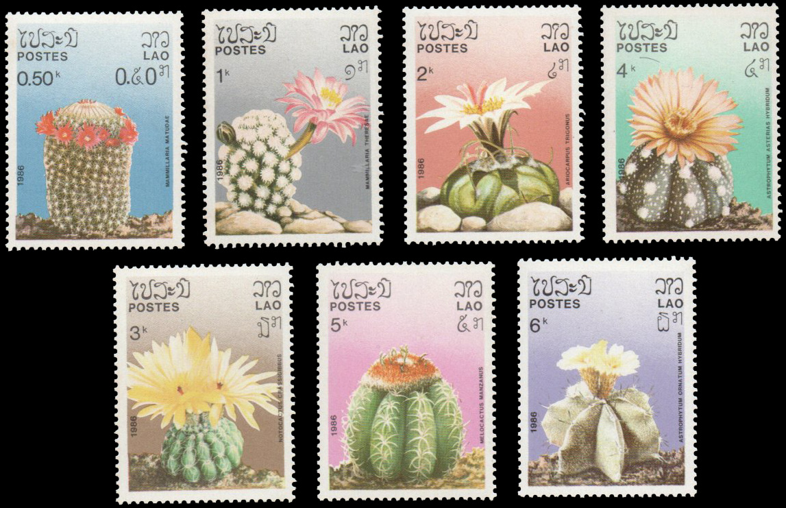 1986 Cacti