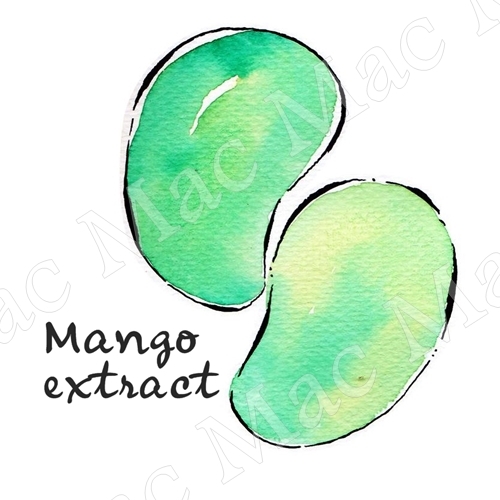 MANGO FRUIT EXTRACT สารสกัดมะม่วง