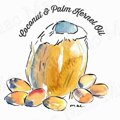 COCONUT AND PALM KERNEL OILน้ำมันมะพร้าวผสมเมล็ดปาล์ม