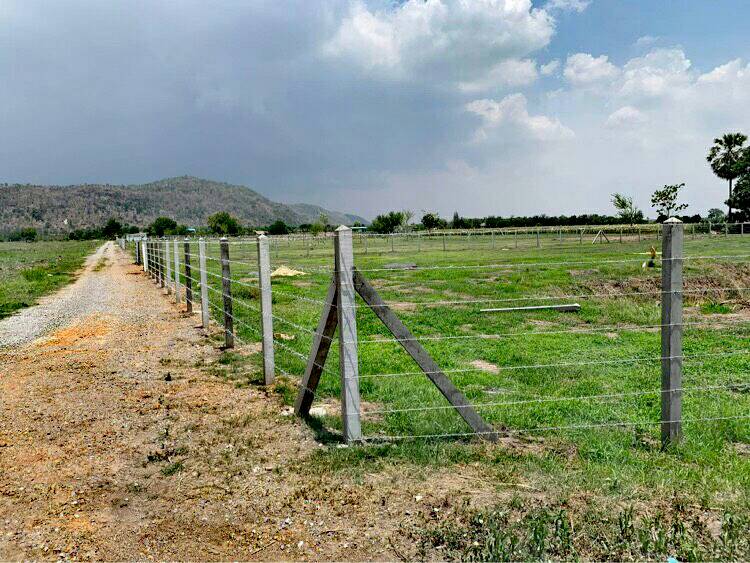 ขายที่ดิน อ.อู่ทอง จ.สุพรรณบุรี 2 ไร่ 1 งาน 94 ตรว. ใกล้รร.บ้านทุ่งดินดำ 950 เหมาะแก่การสร้างบ้านอยู่อาศัย ,รีสอร์ท,ปลูกพืช,เลี้ยงสัตว์หรือทำธุรกิจอื่นๆ บรรยากาศดีวิวภูเขาสวย