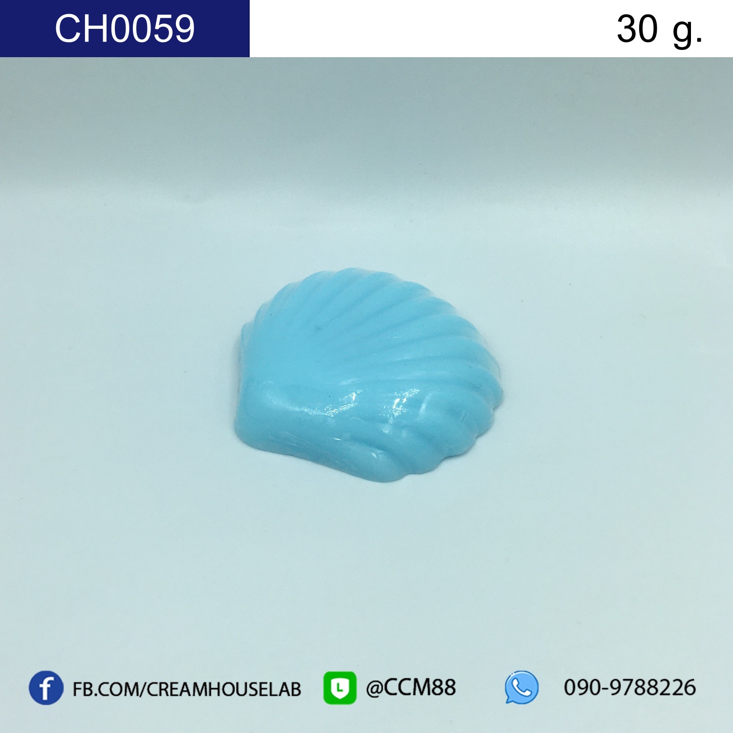รหัส CH0059
