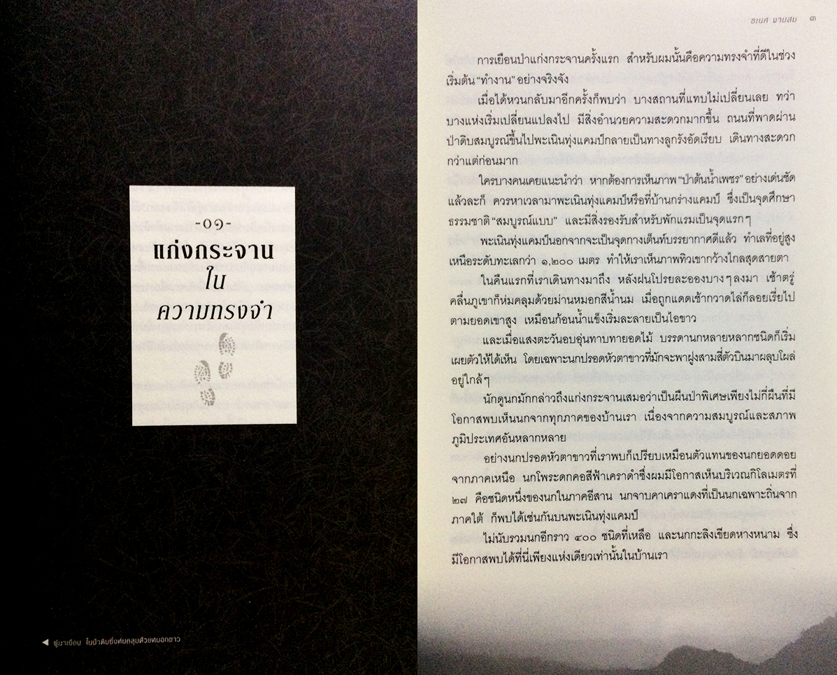 รอยเท้าบนภูเขา